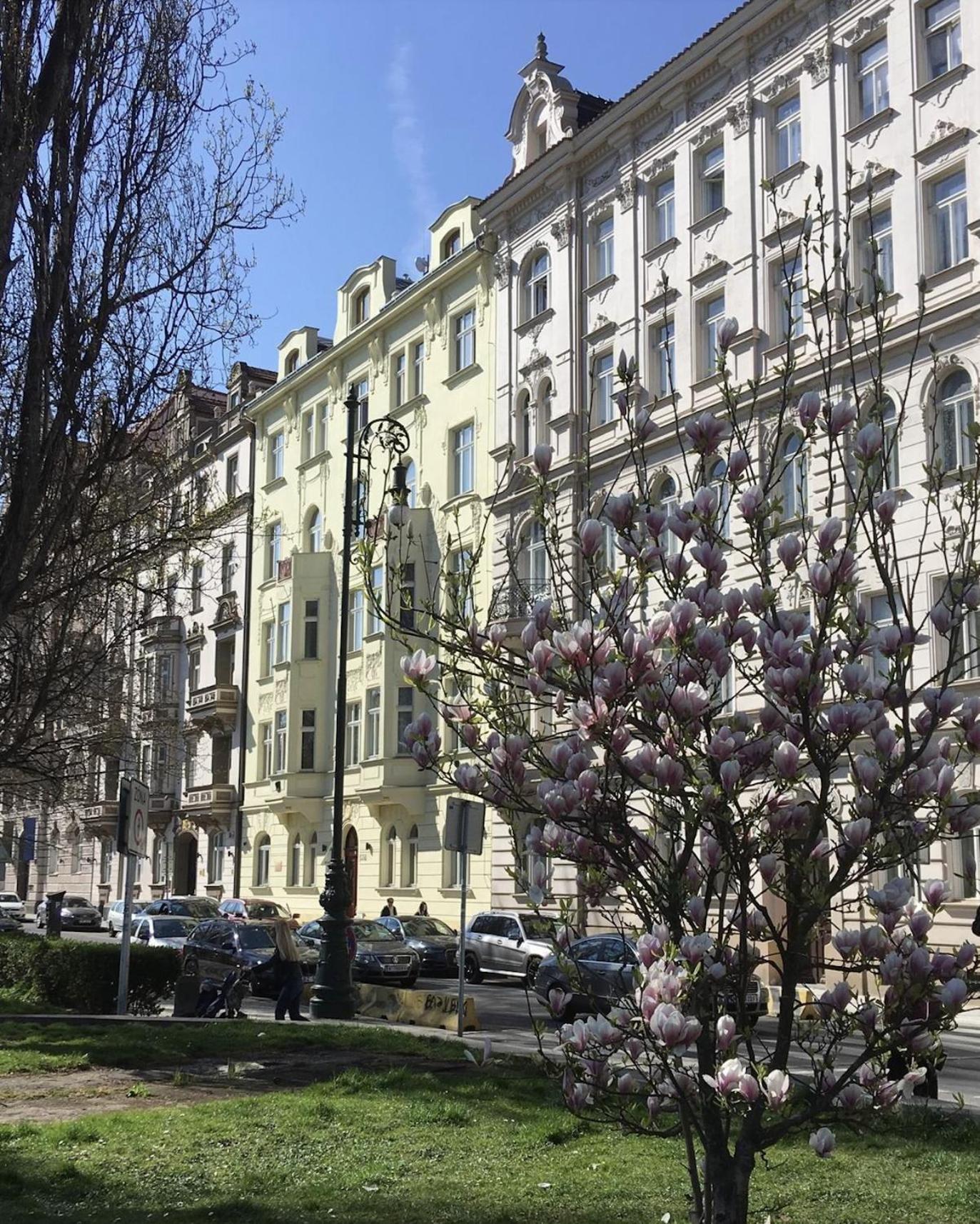 River Site Apartment Janackovo Nabrezi 27 Praga Exterior foto